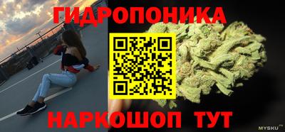 гидра Заволжье