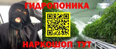 гидра Заволжье