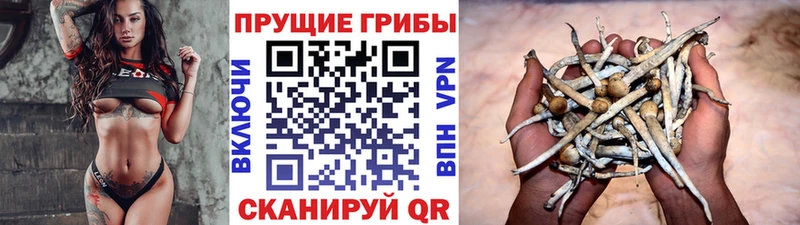 Галлюциногенные грибы GOLDEN TEACHER Копейск